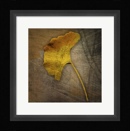 Framed Gingko 1 Print