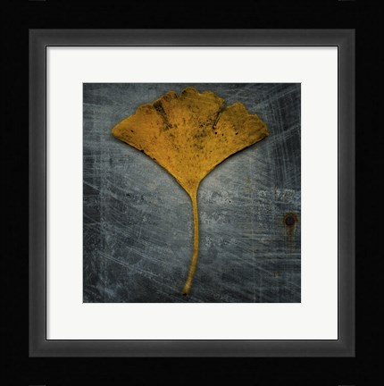 Framed Gingko 2 Print