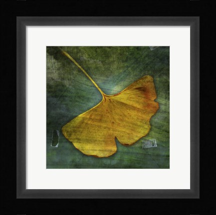 Framed Gingko 3 Print