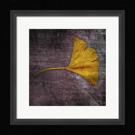 Framed Gingko 4 Print
