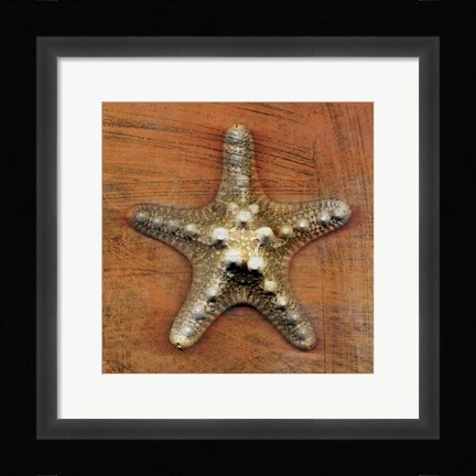 Framed Armored Starfish Print