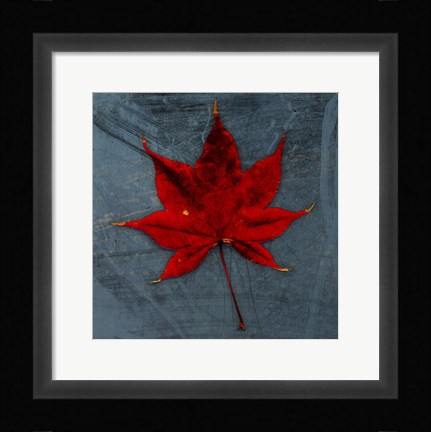Framed Japanese Maple Print
