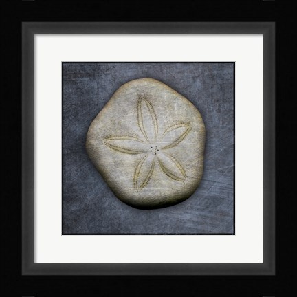 Framed Sea Biscuit Print