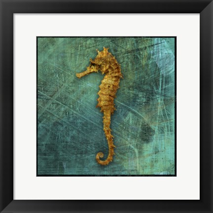 Framed Seahorse Print