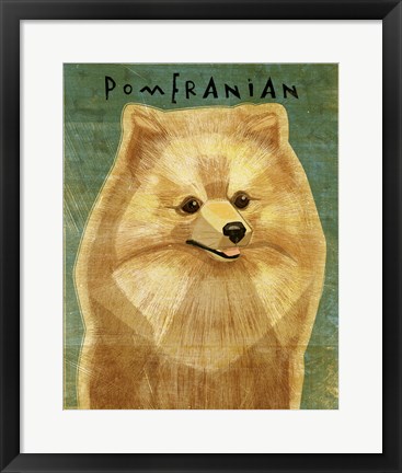 Framed Pomeranian Print