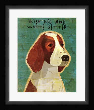 Framed Irish Red and White Setter Print