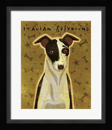 Framed Italian Greyhound - Black and White Print