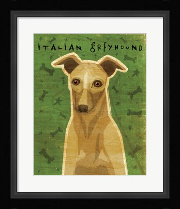 Framed Italian Greyhound - Fawn Print