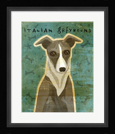 Framed Italian Greyhound - White and Grey Print