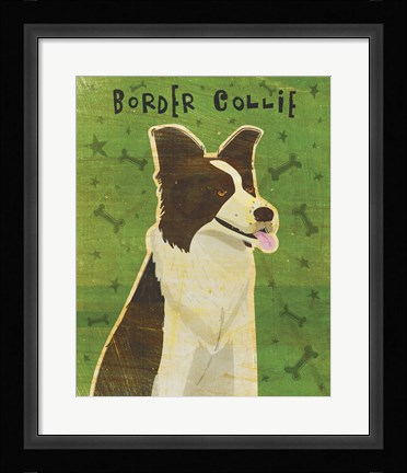 Framed Border Collie Print
