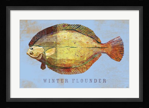 Framed Winter Flounder Print