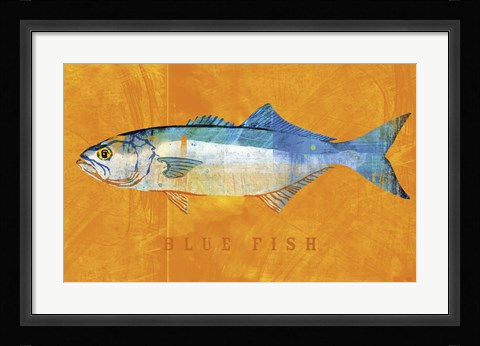 Framed Bluefish Print