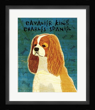 Framed Cavalier King Charles (Blenheim) Print