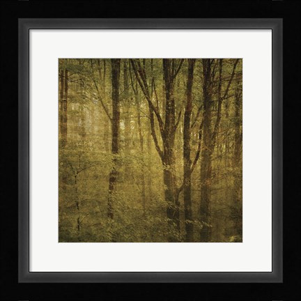 Framed Fog in Mountain Trees No. 2 Print