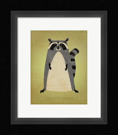 Framed Artful Raccoon Print