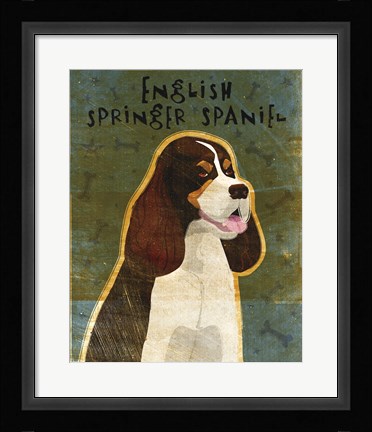 Framed English Springer Spaniel (tri-color) Print
