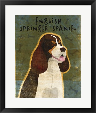 Framed English Springer Spaniel (tri-color) Print