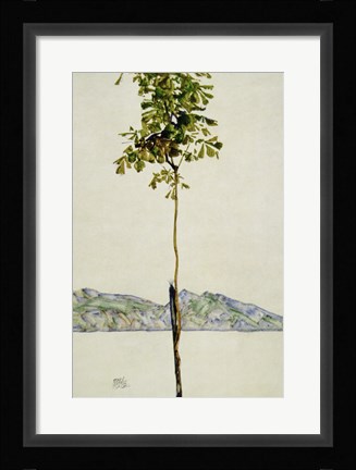 Framed Horse Chestnut Tree, Lake Constance. 1912 Print