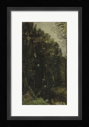 Framed Forest And Brook Print