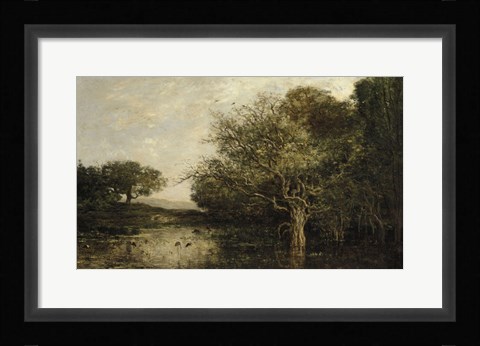 Framed Pond With Herons Print