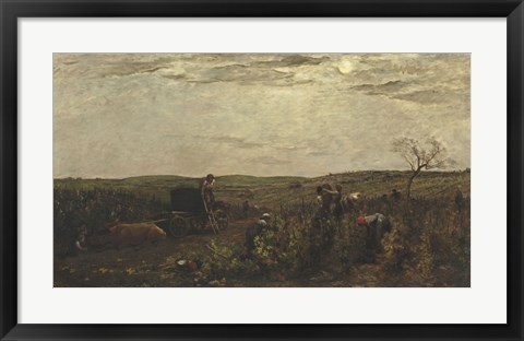 Framed Wine Harvest In Burgundy, 1863 Print
