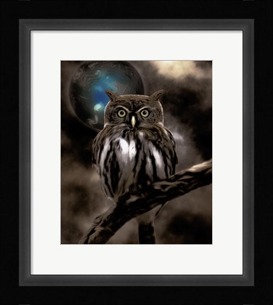 Framed Night Owl Print