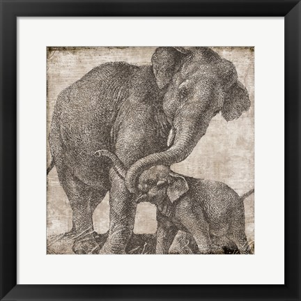 Framed Elephant 2 Print