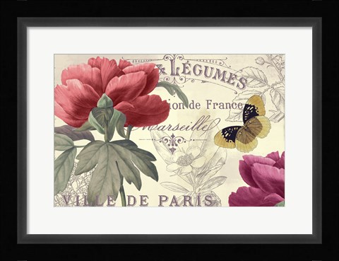 Framed Petals of Paris V Print