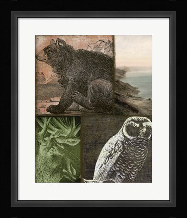 Framed Cabela III Print