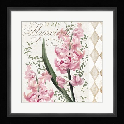 Framed Hyacinth I Print