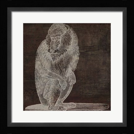 Framed Monkey Print