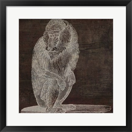 Framed Monkey Print
