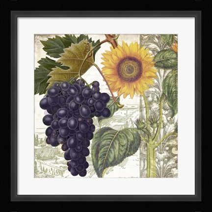 Framed Dolcetto I Print