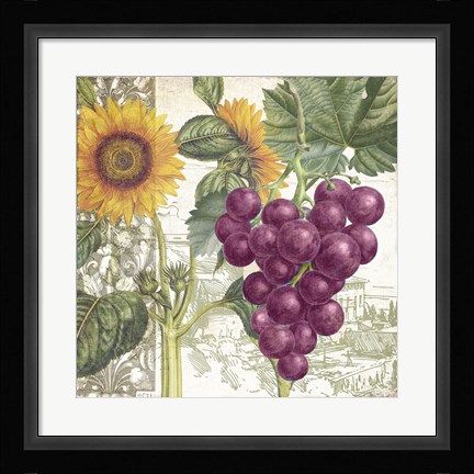 Framed Dolcetto II Print