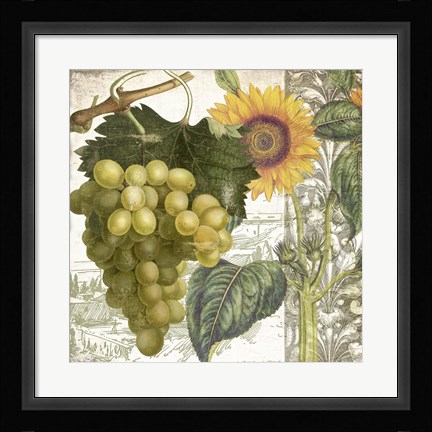 Framed Dolcetto III Print