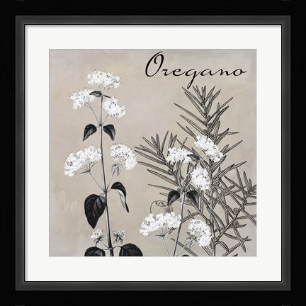 Framed Flowering Herbs II Print