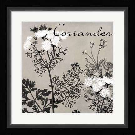 Framed Flowering Herbs IV Print
