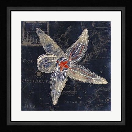 Framed Maritime Blues IV Print