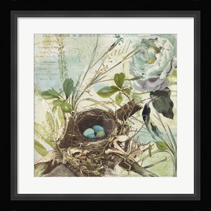 Framed Nesting II Print