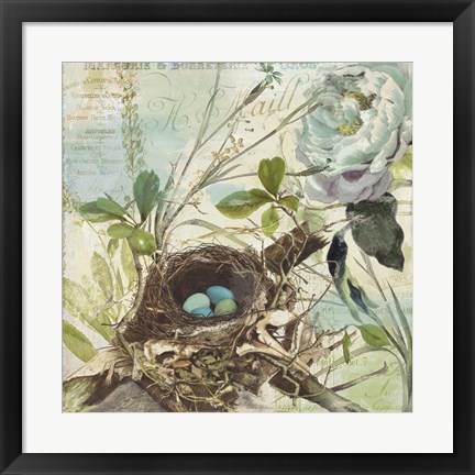 Framed Nesting II Print