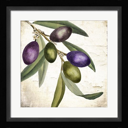 Framed Olive Branch I Print