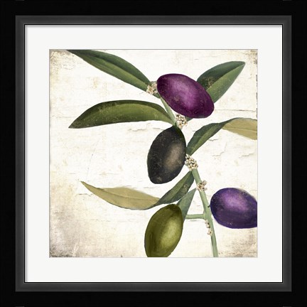 Framed Olive Branch II Print