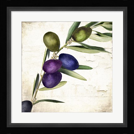 Framed Olive Branch III Print