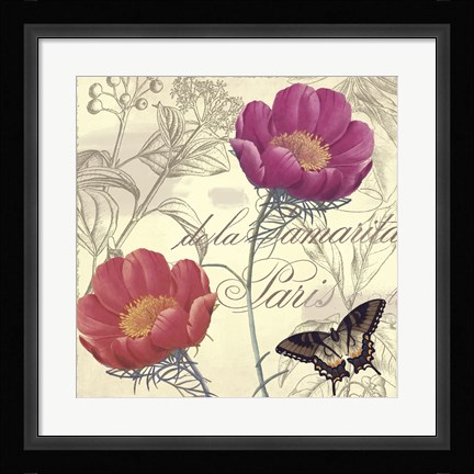Framed Petals of Paris I Print