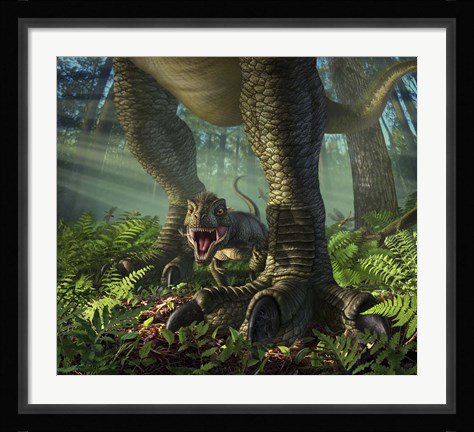 Framed Baby Tyrannosaurus Rex Print