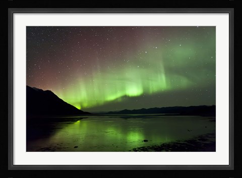 Framed Aurora Borealis over Kluane Lake Print