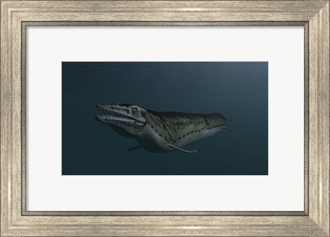 Framed Mosasaur Swimming Print
