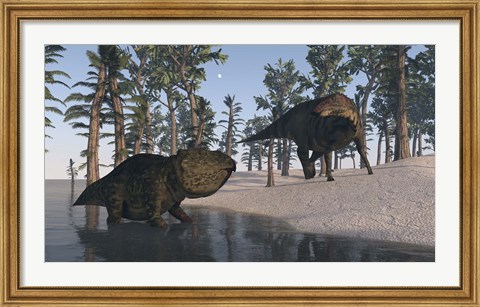Framed Udanoceratops and Shuangmiaosaurus Print