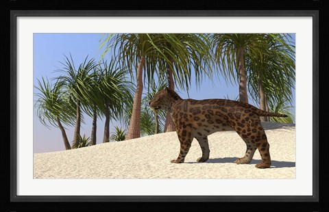 Framed Saber-Tooth Tiger Print