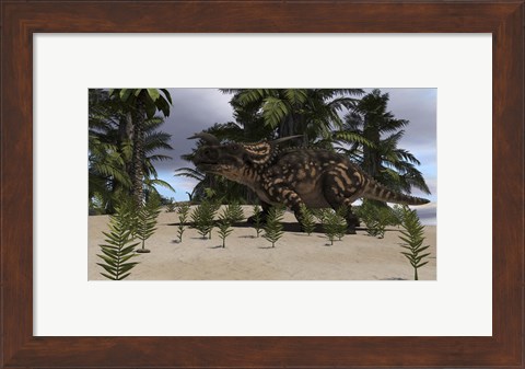 Framed Brown Einiosaurus Print